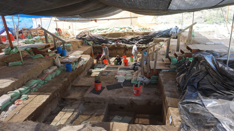 Excavations at Cooperâs Ferry.